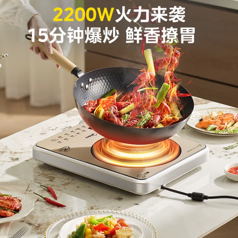 Double Induction Cooktop 220V - موقد حثي منزلي مع ملف كبير