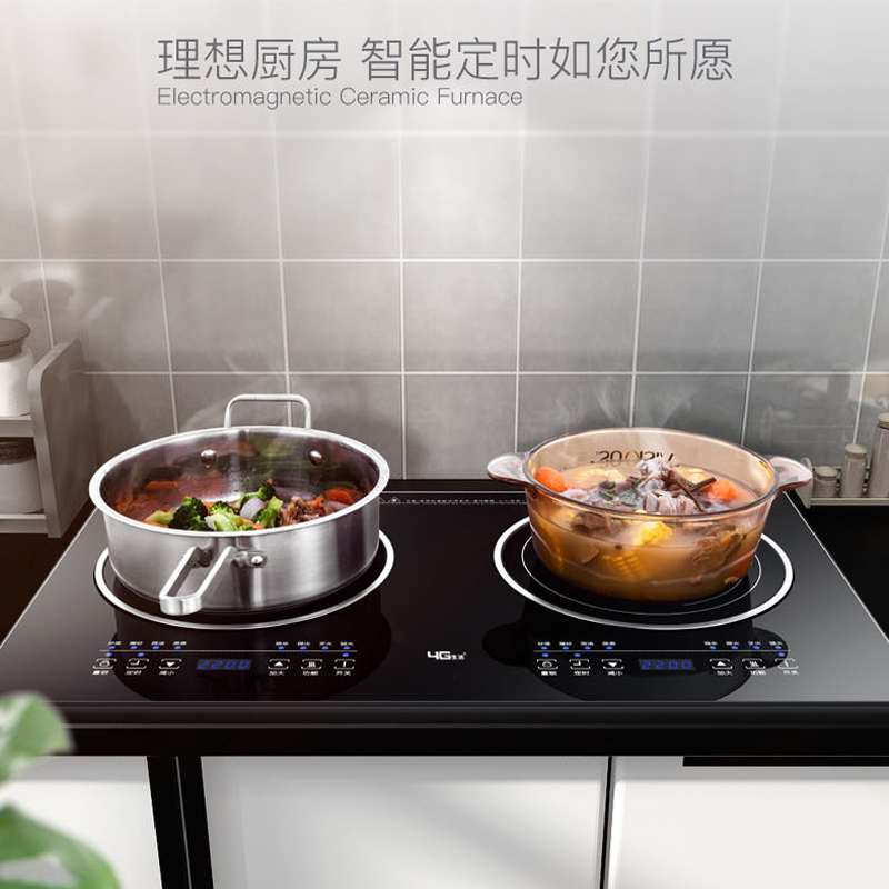 2025 نسخة التعريفي الفرن طباخ  - مراجعة Double Induction Cooktop 220V وسعره